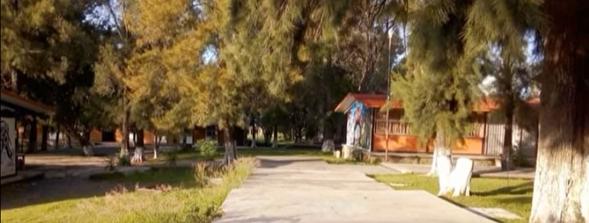 pasaje con arboles ENRGEZ
